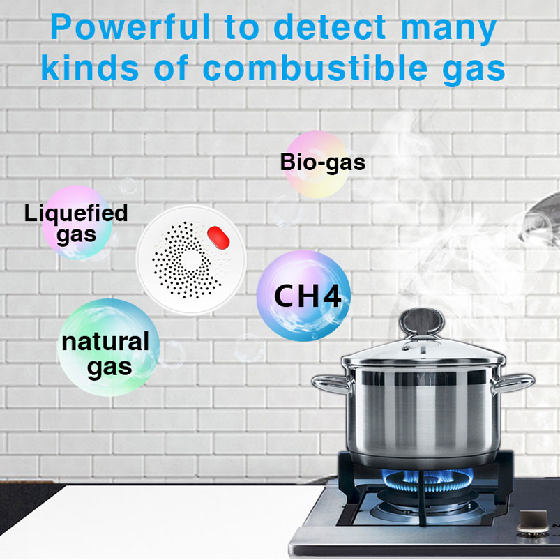 جهاز استشعار الغاز الطبيعي الذ - مراجعة Smart Home Web وسعره