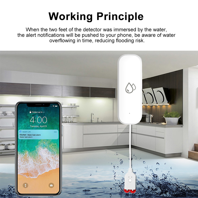 جهاز إنذار تسرب المياه الذكي م - مراجعة Smart Home Web وسعره